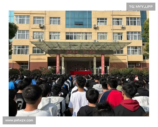 中国bq赛事-2024中国BQ全国精英大赛智慧交锋荣耀启程全民狂欢