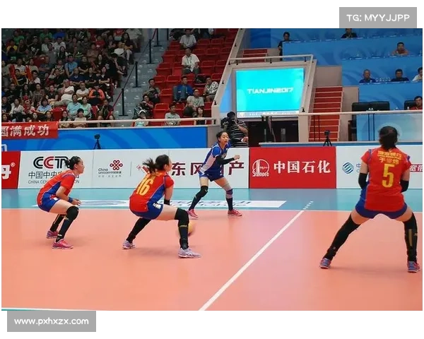 2017排球赛事-排球比赛2016